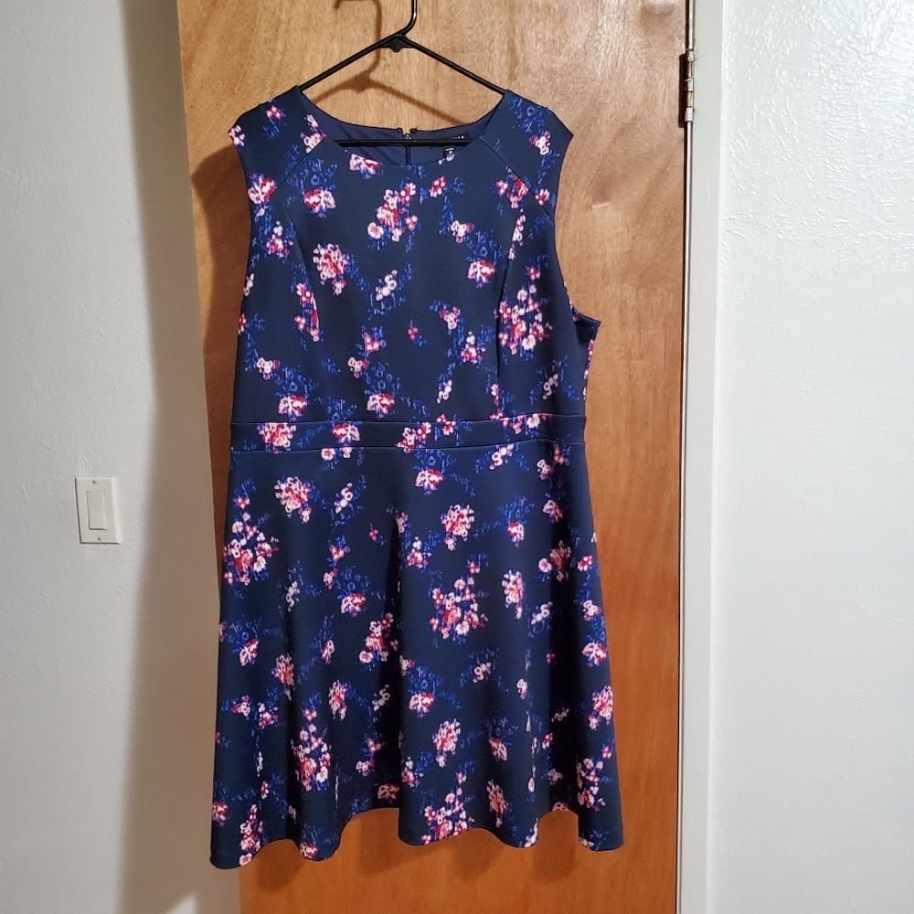 Plus size floral navy fit and flare dress